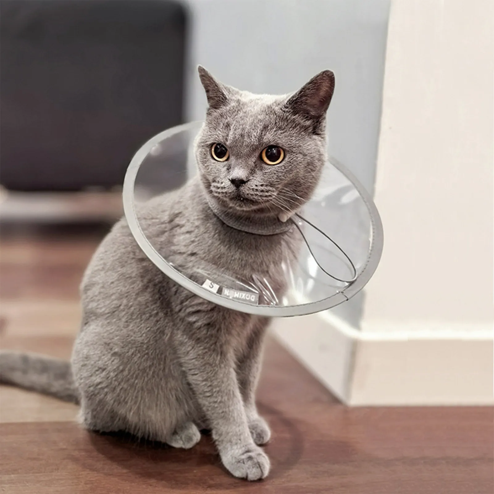 Pet Cat Protective Collar Neck Recovery Cone Collar for Anti-Bite Lick Reusable Cat Dogs 1005008494986871