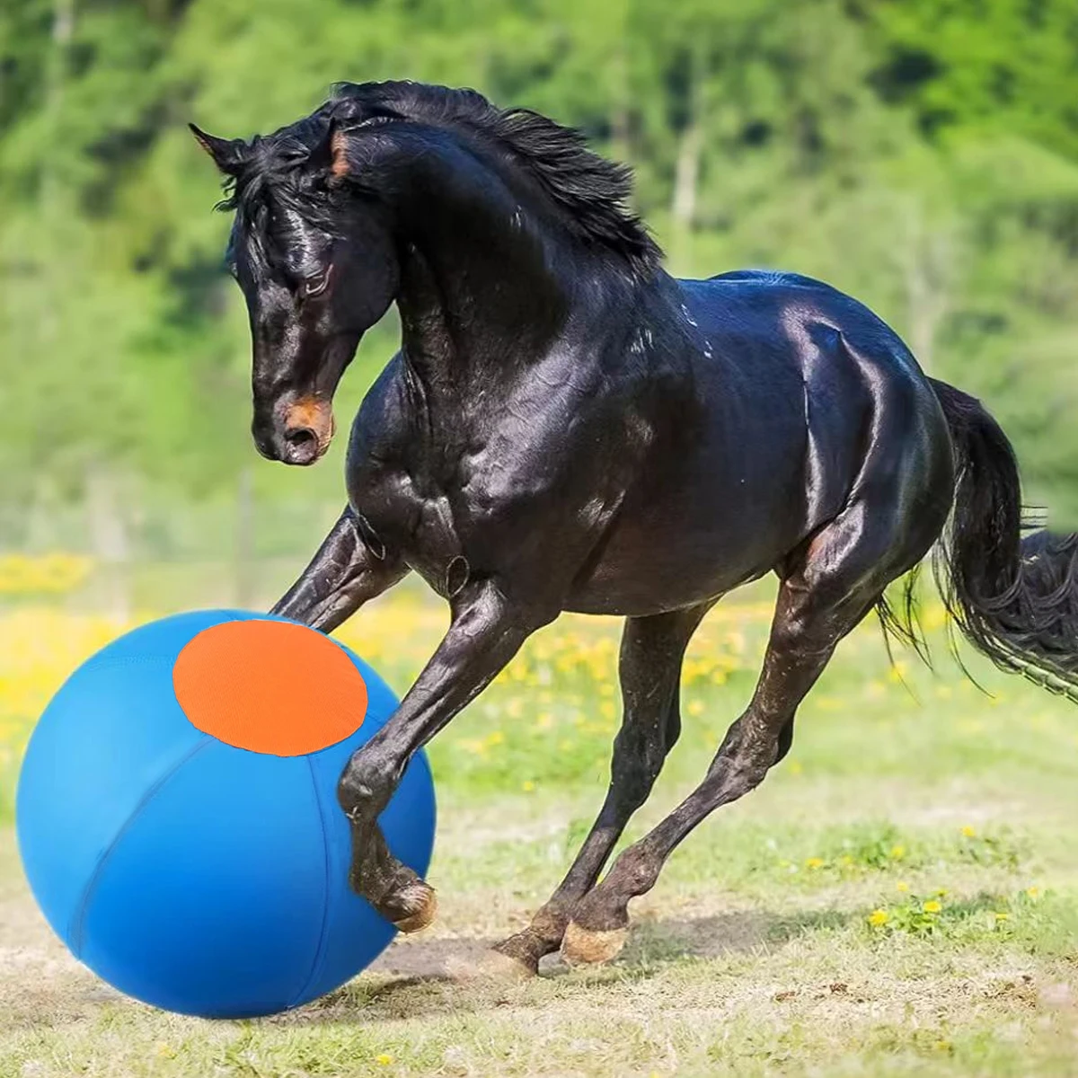Four-Legged Animal Game Ball Outdoor Pet Dogs Herding Ball Inflatable Interactive Toy Ball Horse 1005008527599550