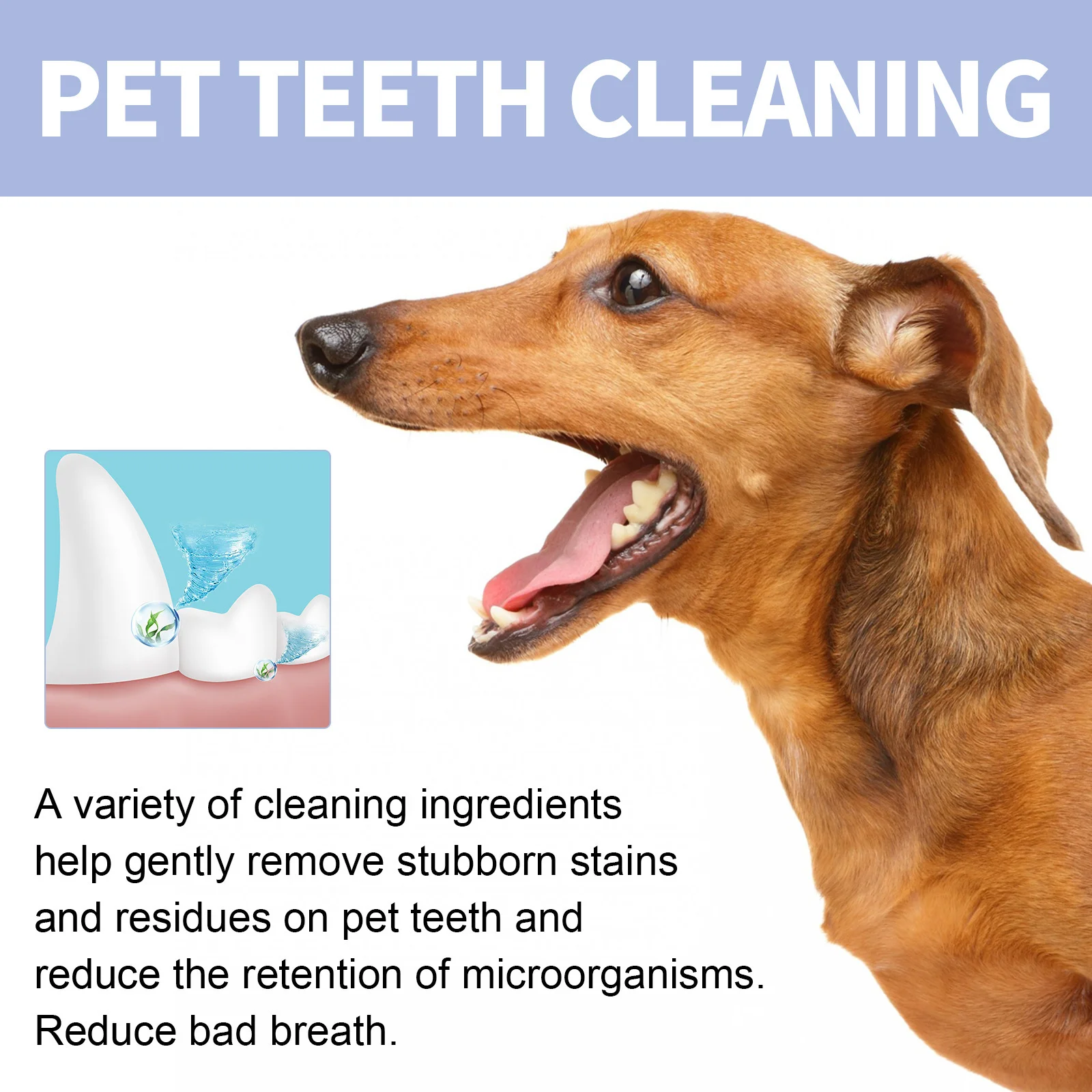 View 4
