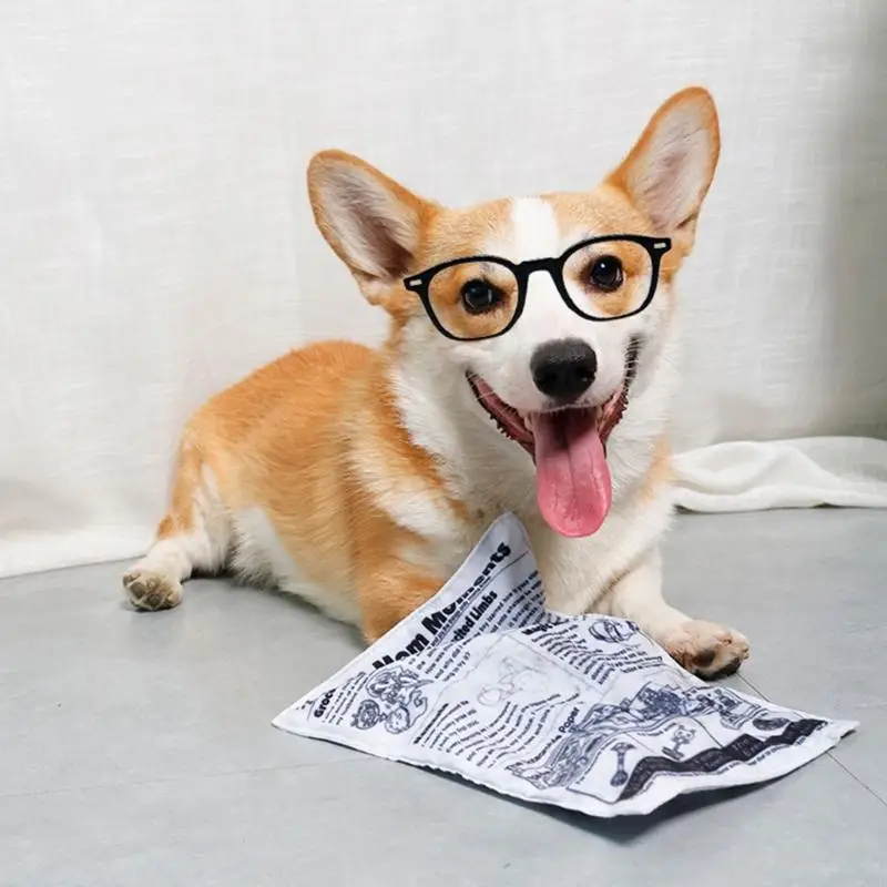 Dog Squeak Toy Chew Toy for Puppy Teething Unstuffed Newspaper 1005008584913501