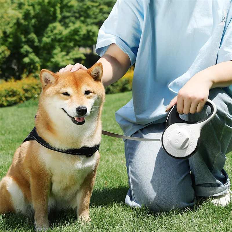 5M/8M Dog Leash with Poop Bag Dispenser Automatic Roulette Tow Rope Detachable Led Flashlight Pet 1005008589388459