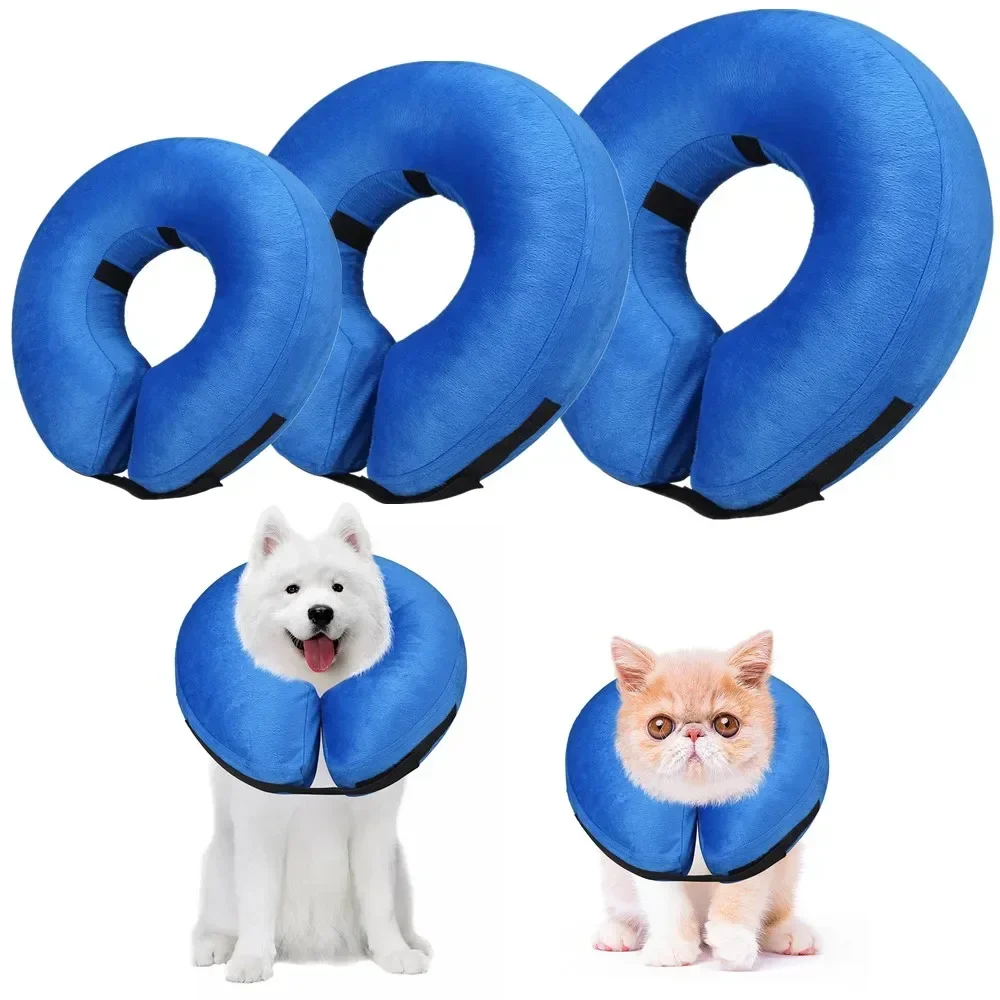 Dog Cones After Surgery 1005008618215704