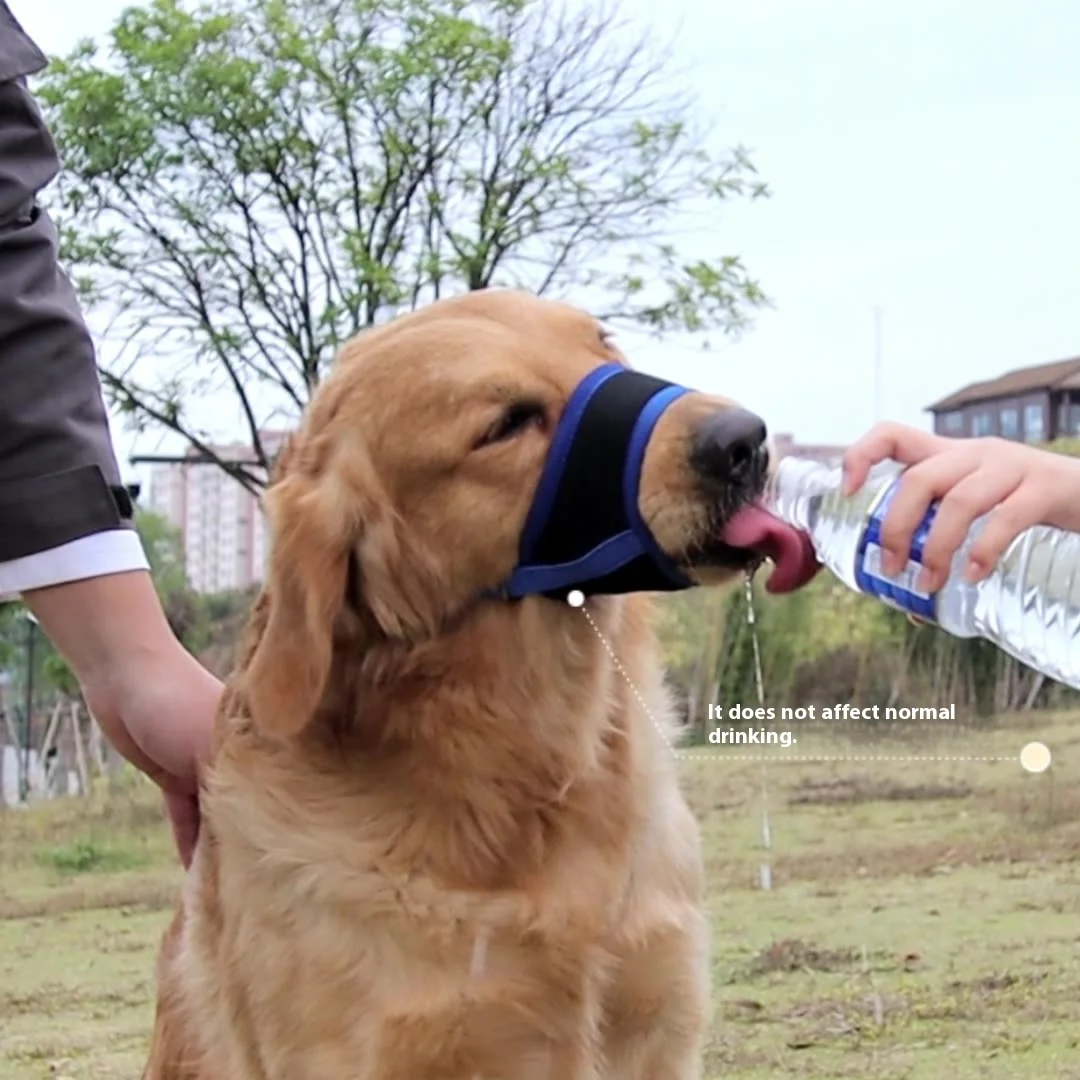 Comfortable Breathable Adjustable Dog Muzzle Anti-Bite Anti-Eating Pet Muzzle for Small Medium 1005008630246689