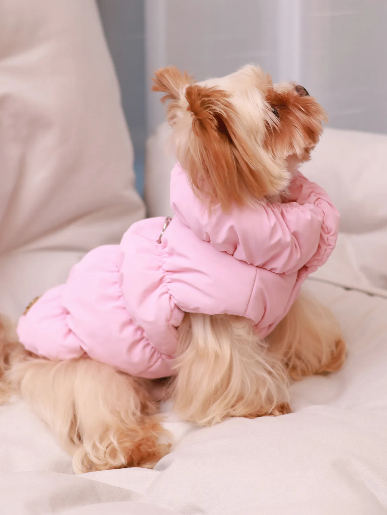 Dog Jacket for Autumn/Winter, Pet Coat, 3-Layer Thick Warm Outerwear 1005008641876241
