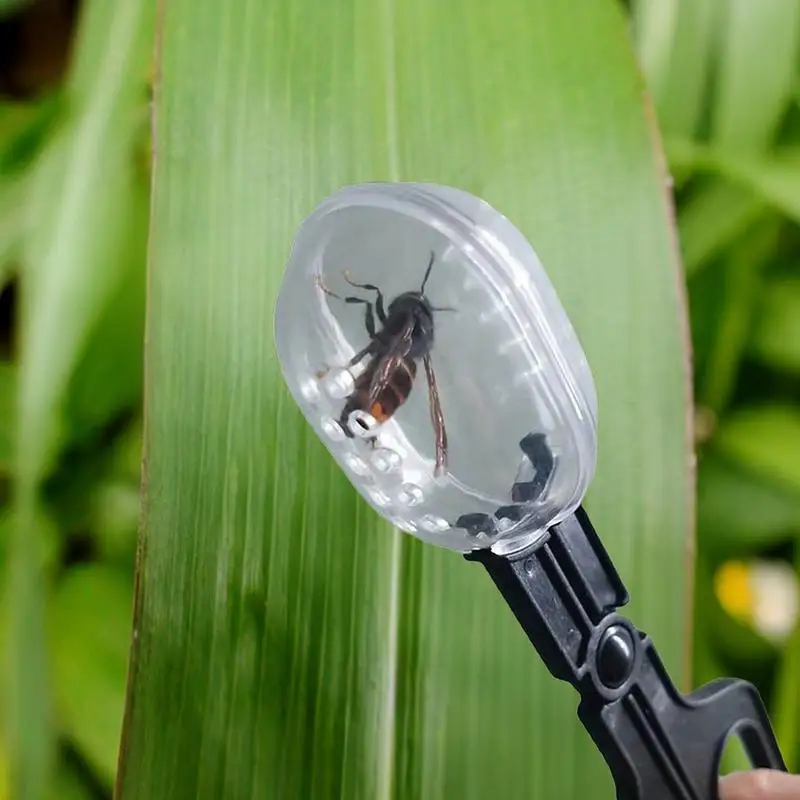 Queen Bee Catcher Cage Clips Beekeeping Tools Reusable Lightweight Catching Tool Swarm Traps 1005008679920380