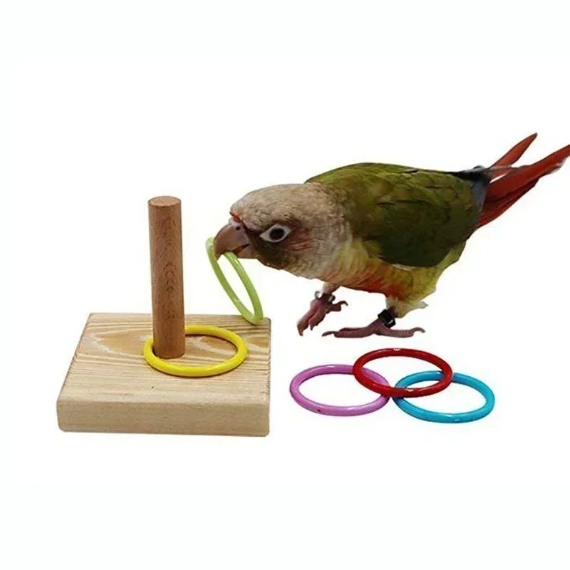 Bird Training Ring Toy Wooden Parrot Educational Toys Intelligence Training Interactive Bird Toys 1005008688266368