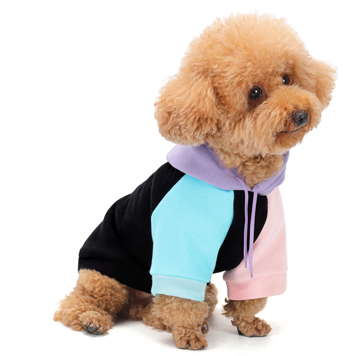 Dog Hoodie, Buttery Soft, Superior Comfort and Fit, Calming Interior Material 1005008709813044
