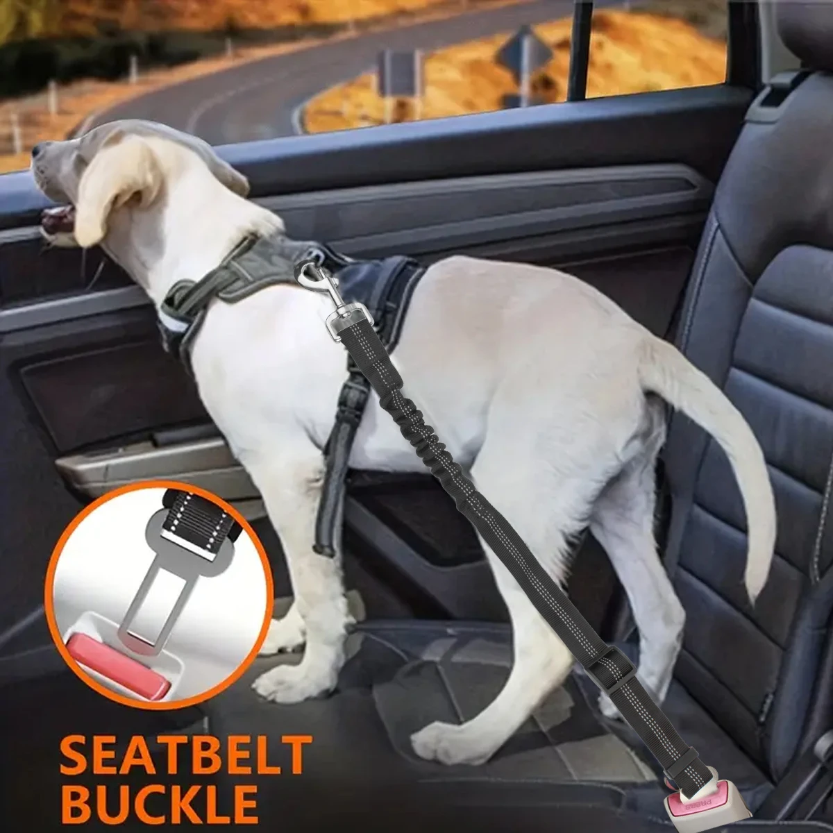 Car Shock Absorbing Seatbelt for Small Medium and Large Dog Reflective Bungee Pet Dog Leash No Pull 1005008729115188
