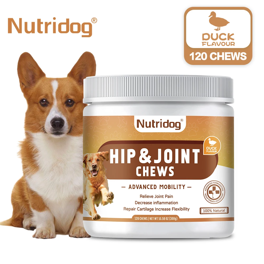 Hip and Joint Supplement for Dogs with Glucosamine, Chondroitin & MSM 1005008742491681