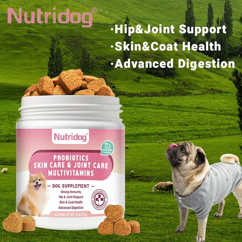 NUTRIDOG Multivitamin Chews for Dogs with Probiotics Glucosamine&digestive Enzymes Supports Joint 1005008749050886