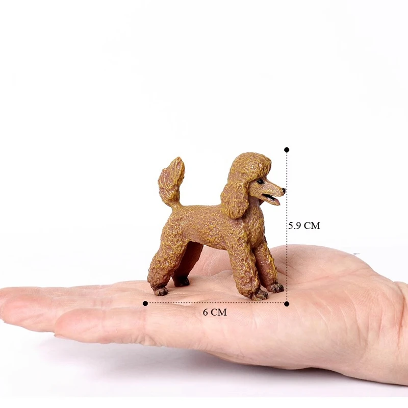 Realistic Poodle Desktop Puppy Decoration Mini Pet Dog Model for Home Decor Gift 1005008757096560