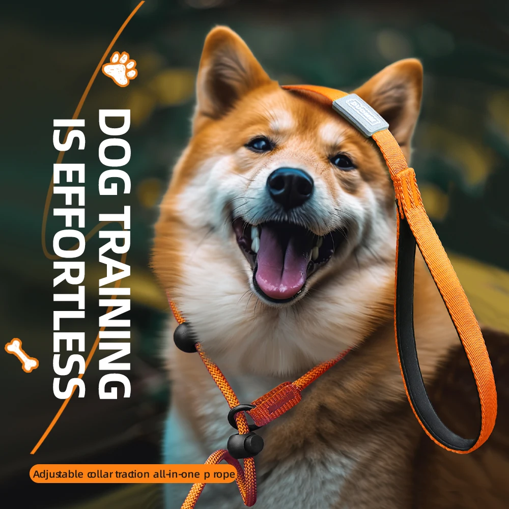 Adjustable All-In-One Anti-Pull Dog Chain Leash for Medium Large Dogs 1005008766950238