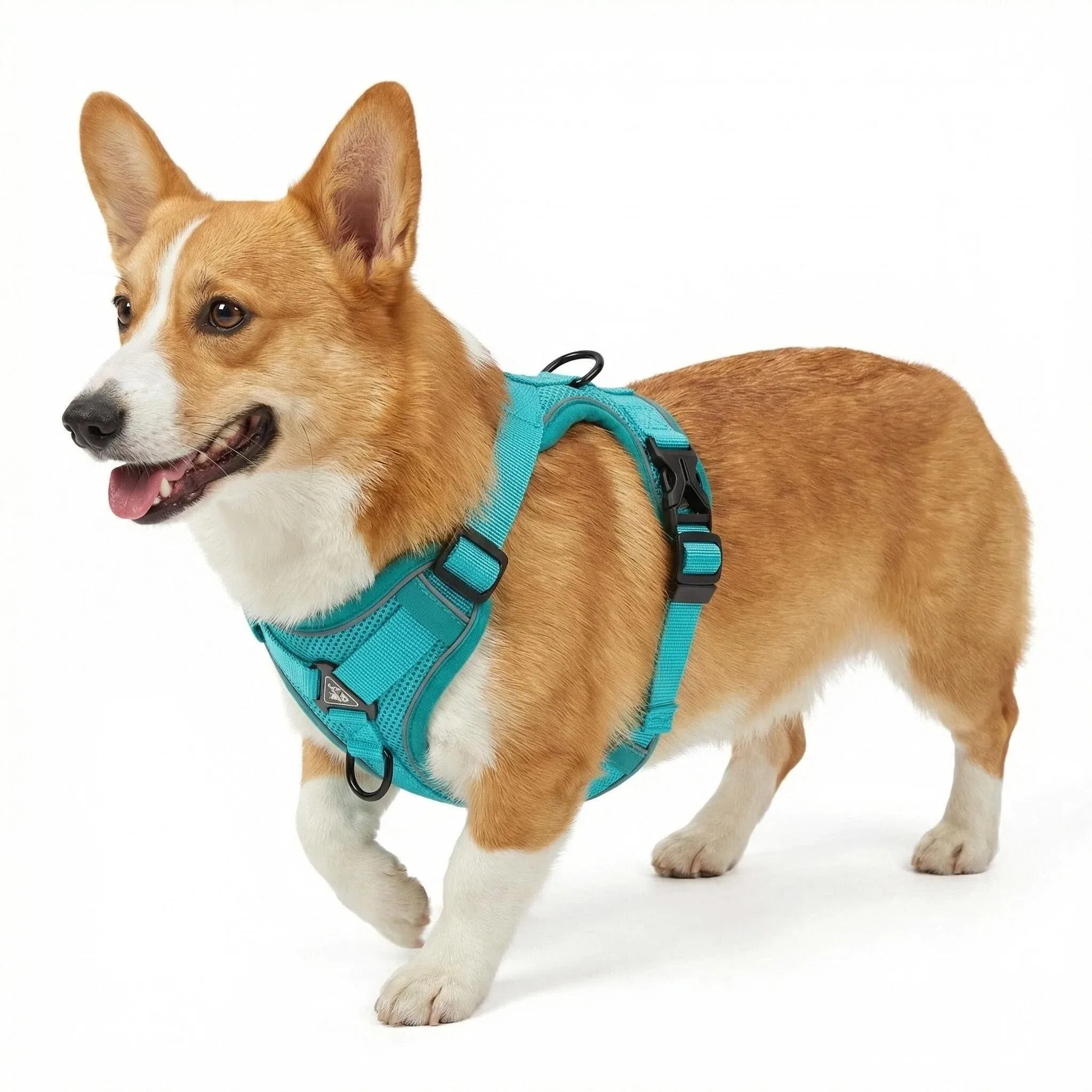 Cat Harness Vest Walking Lead Leash for Puppy Dogs Collar Polyester Adjustable Mesh Dog Harness 1005008768577063