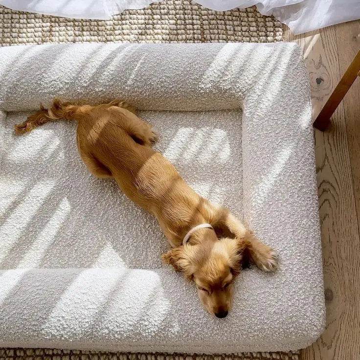 Pet Bed Cats House Couchage Chat Dogs Bed Rectangular Bed for Pets Pet Sofapet Kennels Pet Supplies 1005008814293246