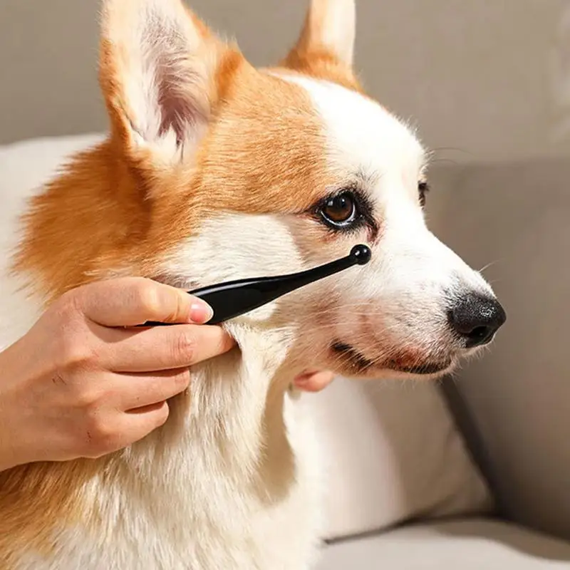 Pet Tear Stain Removal Brush Eye Cleaning Powder Poo Brush Makeup Brush Eye 1005008819769687
