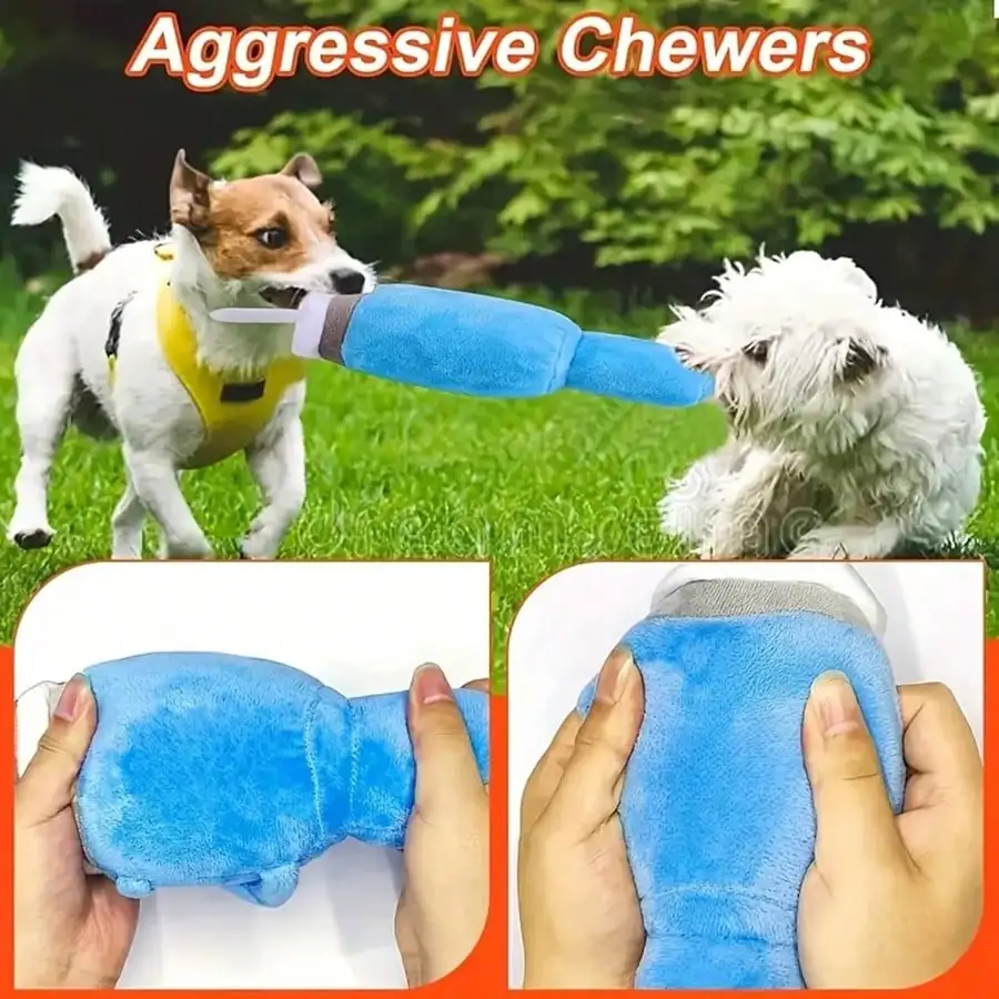 View 5