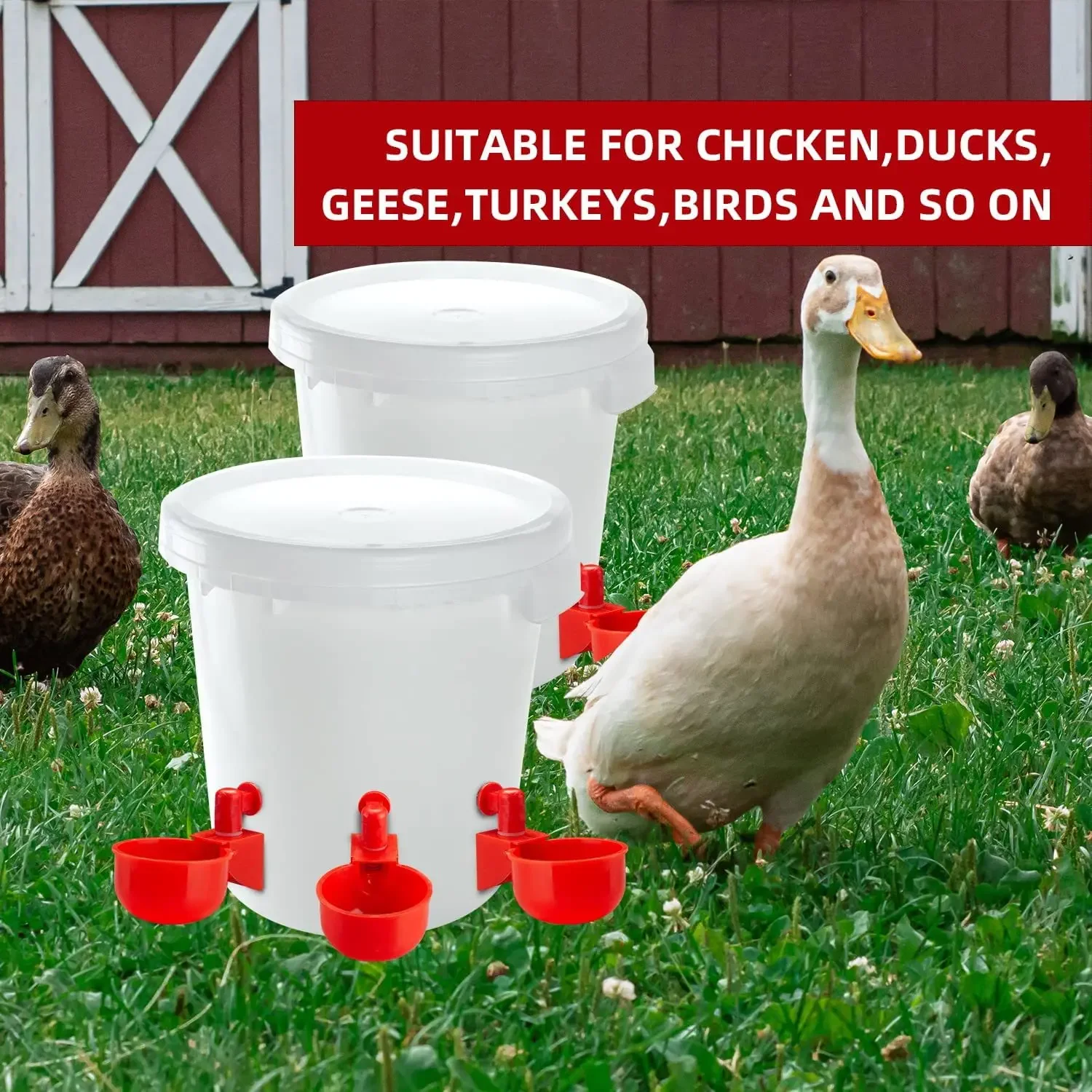 Chicken Drinking Cup Automatic Drinker Chicken Feeder Plastic Poultry Waterer Drinking Water Feeder 1005008866832003