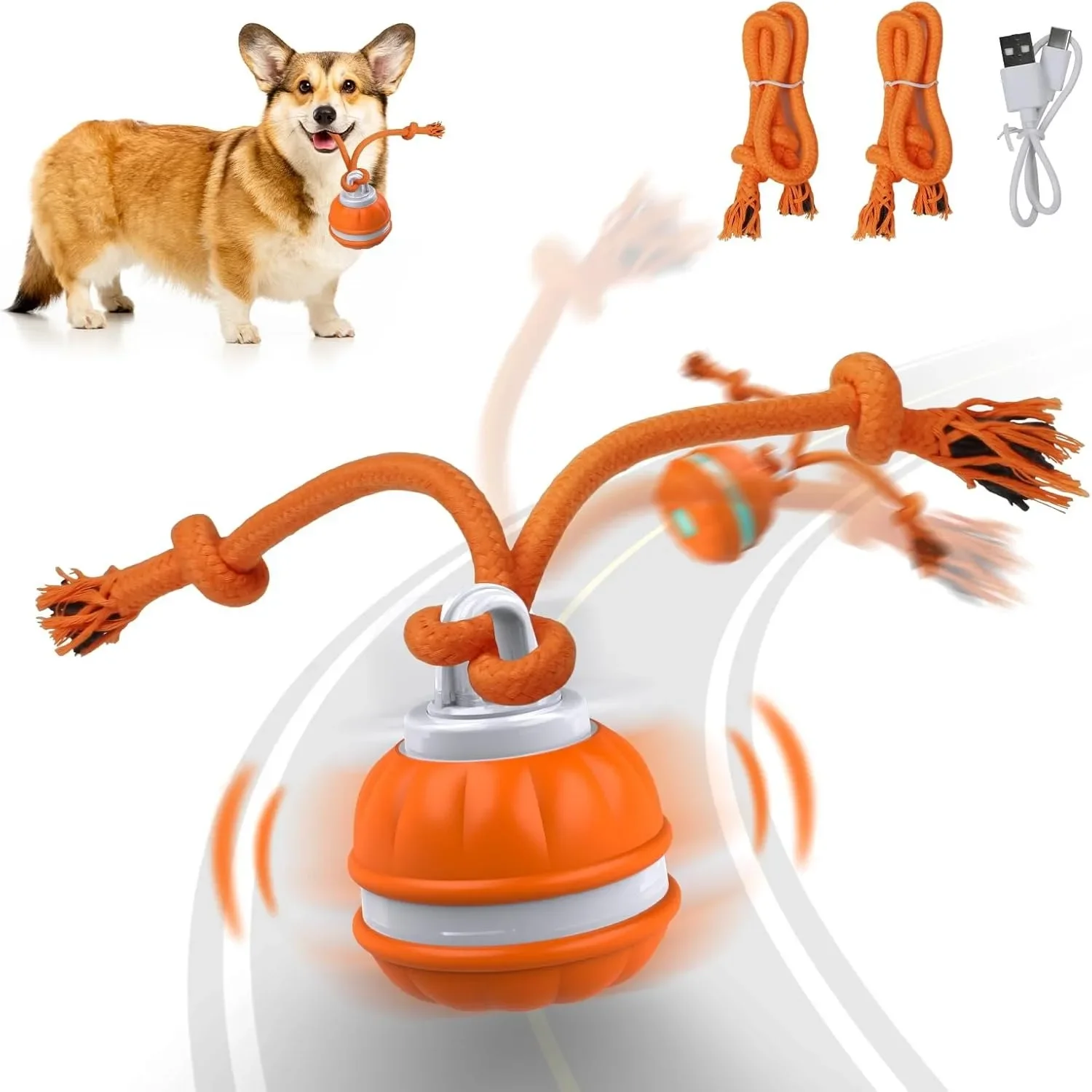 Pet Ball for Dogs Interactive Toys Motion Activate Rolling Puppy/Small Dogs Automatic 1005008870545513