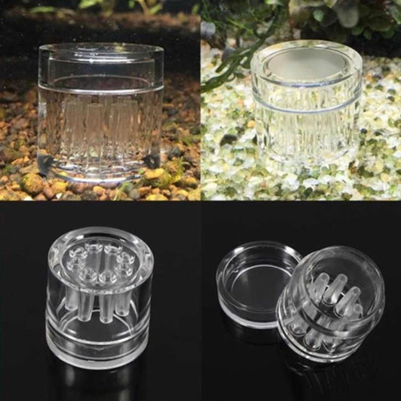 Planaria Trap Aquarium Worm Catcher Shrimp Freshwater Cleaning Supplies Top Sale 1005008894070357