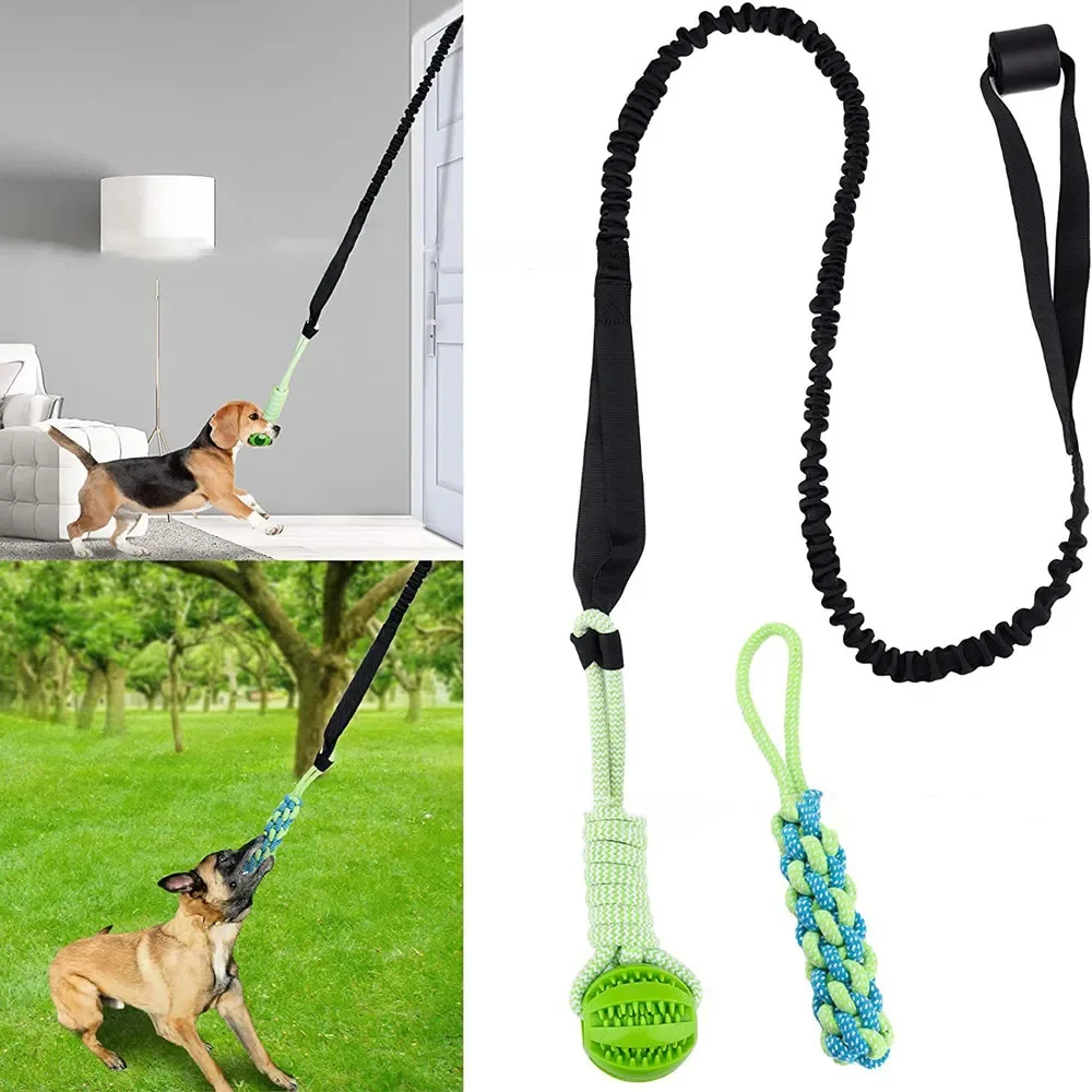 Interactive Dog Toy Tug of War Spring Rope Dogs Outdoor and Indoor Hanging Pull Rope Ball Puppy 1005008912368839