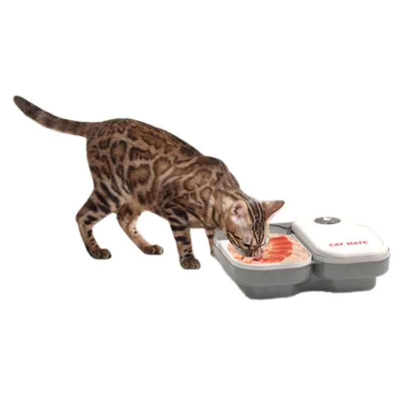 Avoid Food Spoilage Pet Regular Feeding Bowl Cats and Dogs Multi-Pet Home Intelligent Automatic 1005008919560985