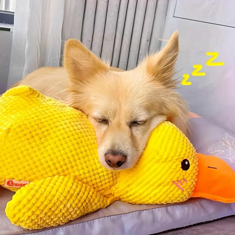 Durable Plush Squeaky Dog Toy, for All Dog Breeds, Plush, Squeaky, Chew Resistant 1005008972101732