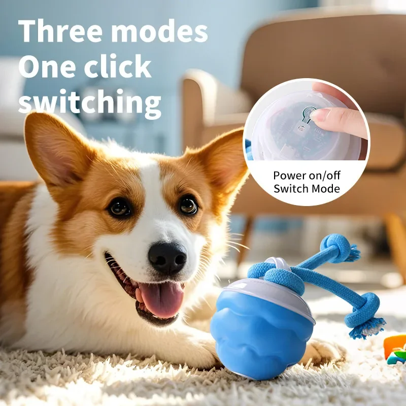 Pet Interactive Toy Ball, Self-Help Boredom Relief, Squeaky Dog Toy 1005008973208788