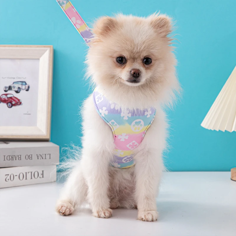 Dog Harness Luxury Designer Small Medium Dog Pet Chest and Back Set Outdoor Dog Walking Leash Puppy 1005008978620539