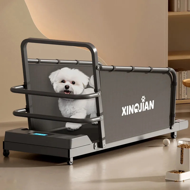 Dog Treadmill Large, Medium and Small Dogs, Cats, Universal Animals 1005008985112622