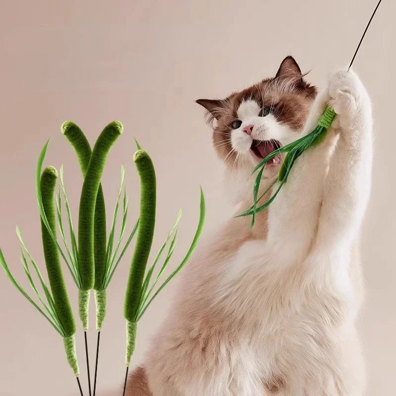 Cat and Dog Grass Chew Toy Teaser Stick Natural Bite Resistant Dental Teeth Cleaning Self Soothing 1005008995866961