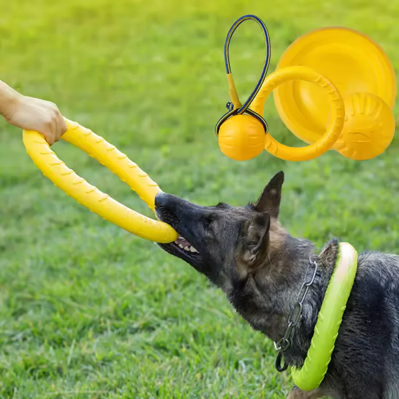 Dog Toy Bite Resistant Circular Frisbee Pet Outdoor Training Rope Ball Grinding Teeth Products 1005009024090796