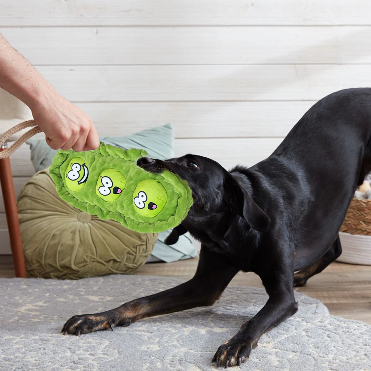 Pet Dog Snack Hiding Toys Relieve Boredom Interactive Doll Pea Pods Sets Throwing Chasing Plush Toy 1005009032428161