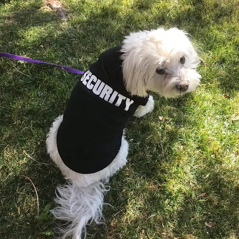 Security Clothing for Dogs Summer Pet Clothes Vest for Small Dogs Chihuahua Yorkshire Puppy Cats 1005009074219322