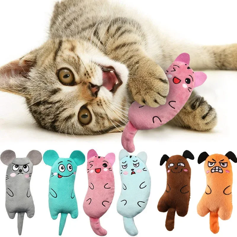 Cute Cat Toys Funny Interactive Plush Cat Toy Mini Teeth Grinding Catnip Toys Kitten Chewing 1005009104569811