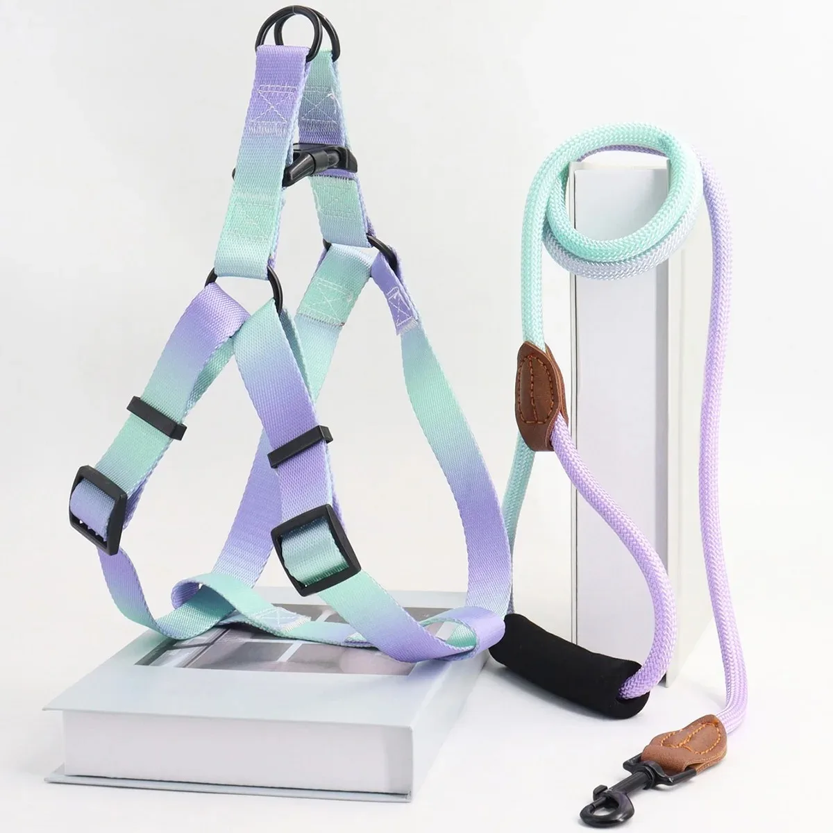 Chest for Dog Harness for Dogs Small Dog Leash Pet Supplies Puppy Accessories Collars Harnesses 1005009120208962