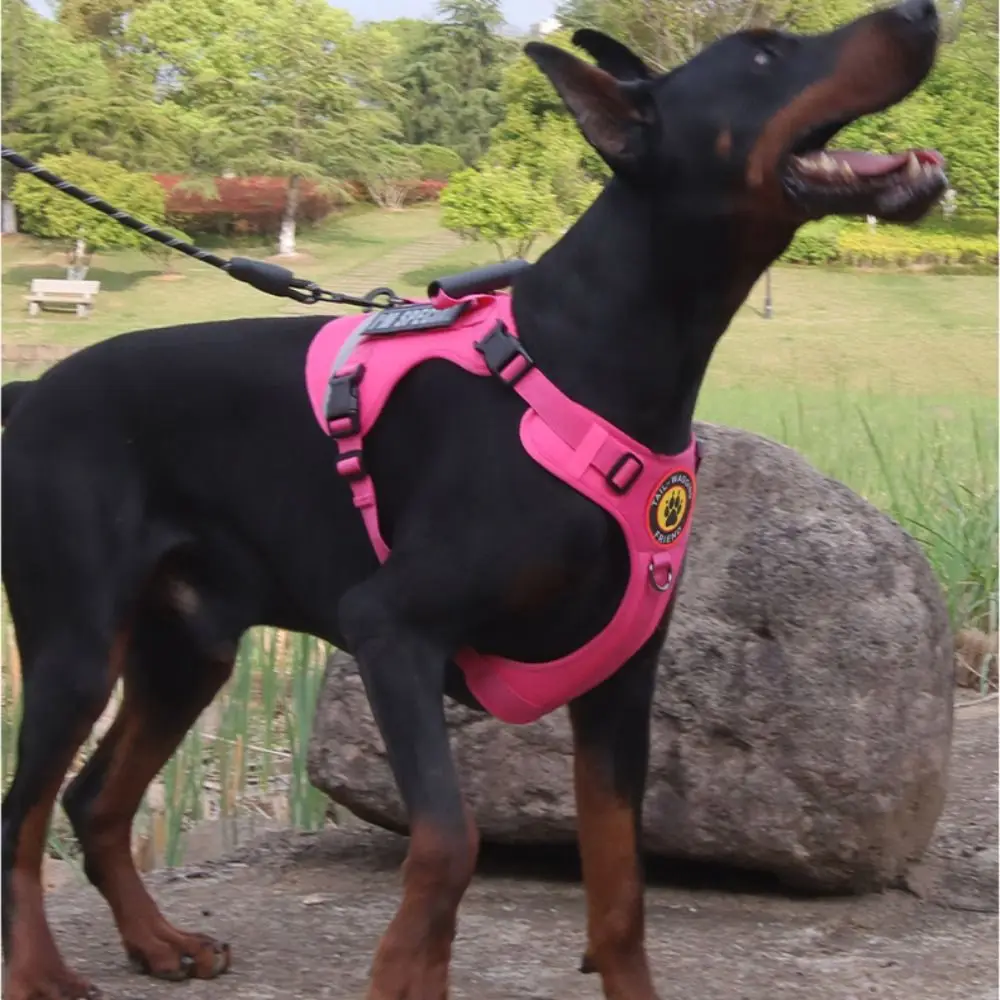 Cat Supplies Reflective Dog Leash Set Breathable No Pull Large Harness Vest Adjustable Anti Escape 1005009129176114