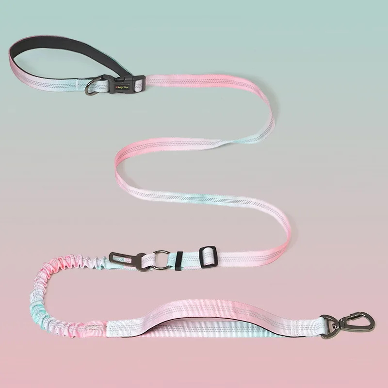 Retractable Hands-Free Reflective Dog Leash 1005009147281019
