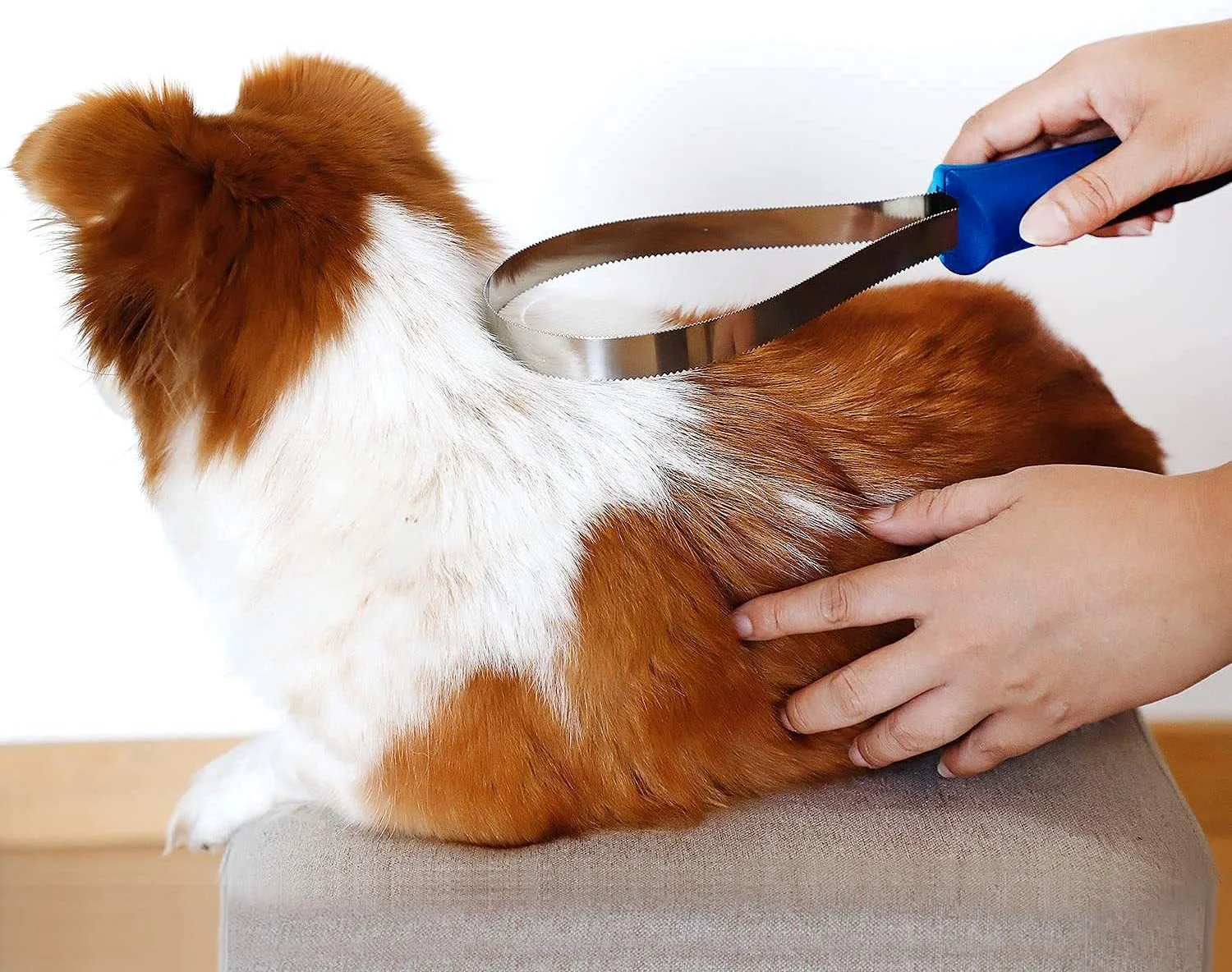 Pet Hair Removal Cleaner 1005009147981599