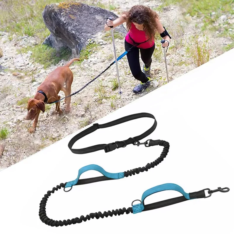 Outdoor Pet Dual Elastic Traction Rope Reflective Running at Night Stretchable Hands-free Dog Dual 1005009148676835