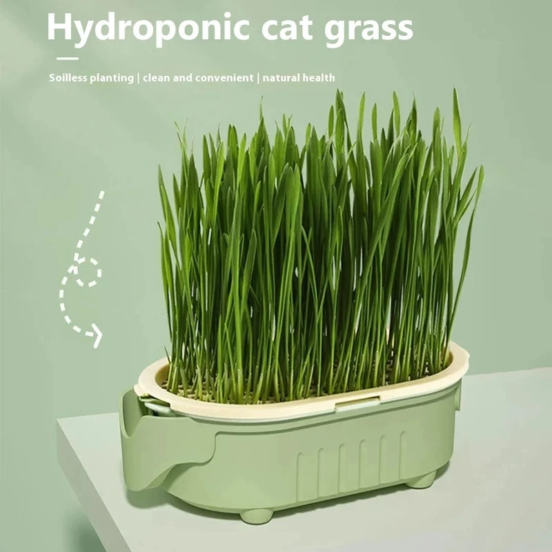 Organic Cat Grass Planter Kit Hairball Relief Natural Digestive Aid Grow Your Own Cat Grass Bowl 1005009159436400