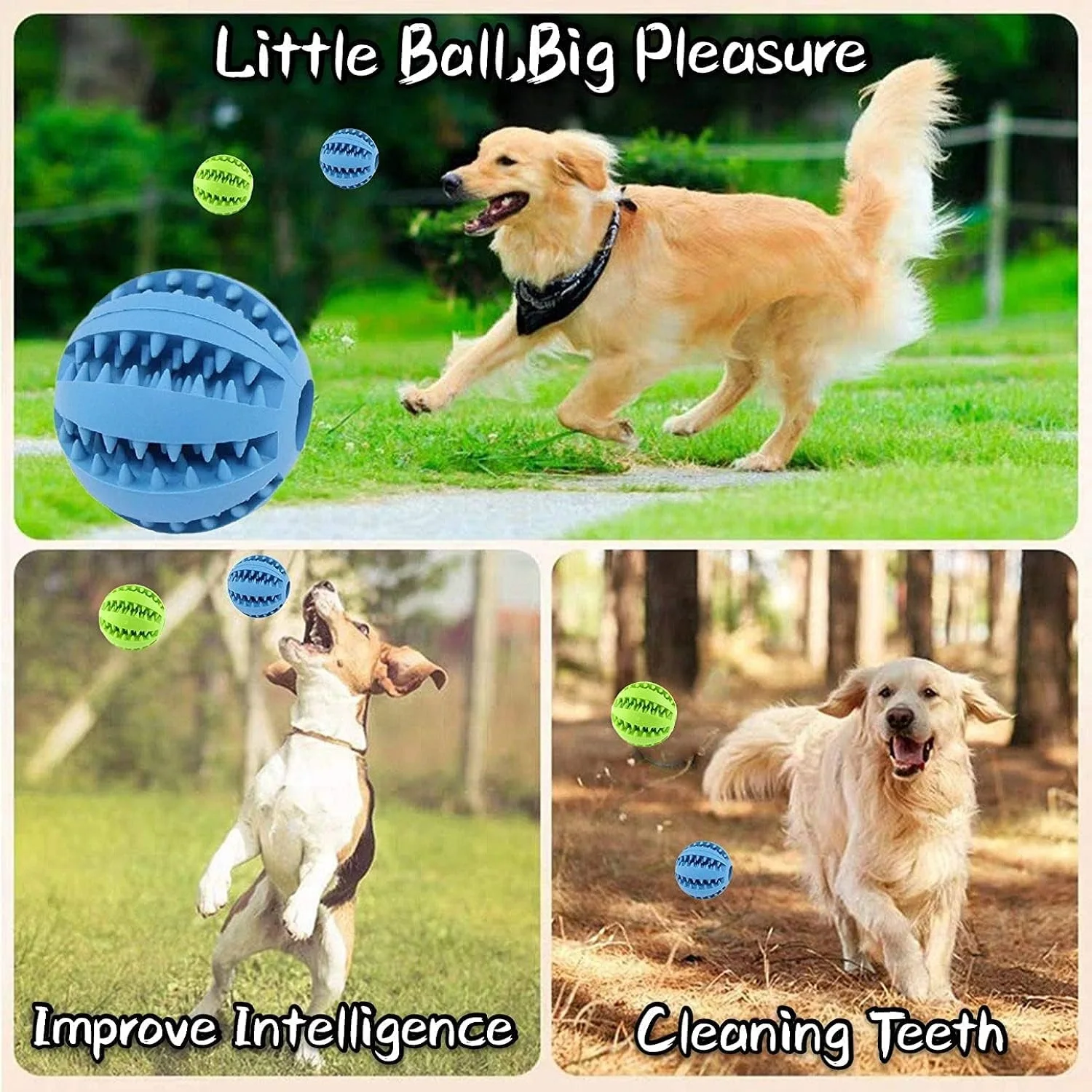 View 6
