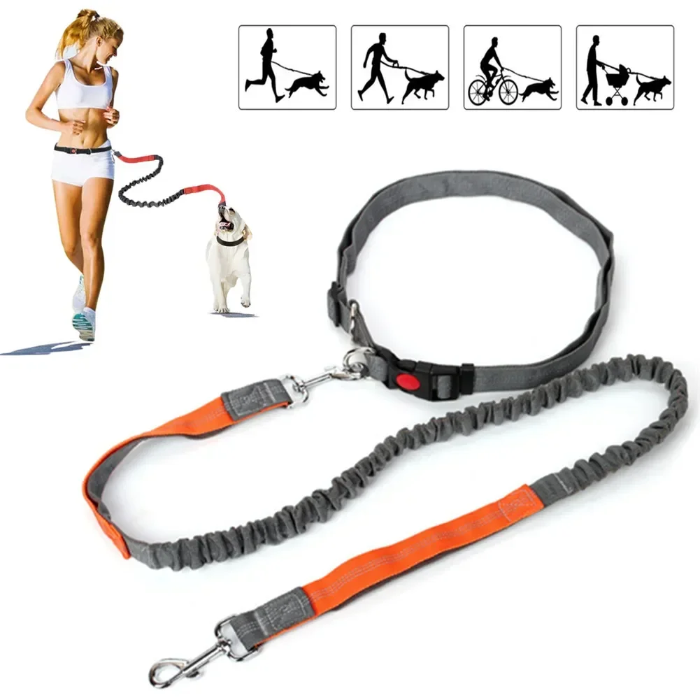 Retractable Dog Leash with Adjustable Waist Rope Hand Free Running Jogging Cycling Big Dogs Pet 1005009217768298
