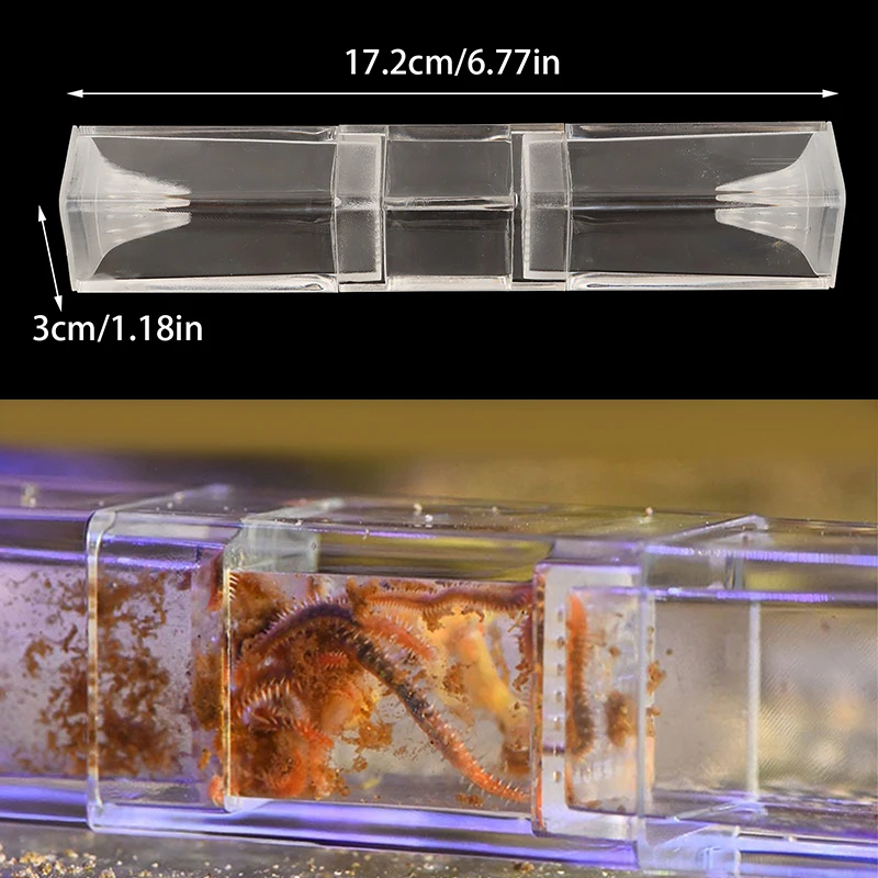 Safe Transparent Aquarium Pest Trap Bristle Worm Planaria Catcher for Saltwater & Freshwater Tanks 1005009244296907