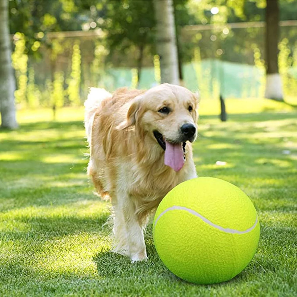 Dog Tennis Ball 24cm/9.5Inch Pet Thrower for Training Interactive Large Dog Toy 1005009254271754