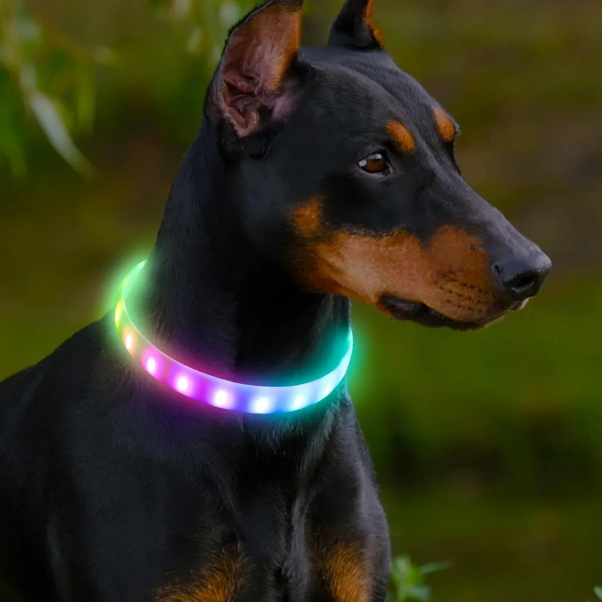 New Led Luminous Dog Collar PVC Waterproof for Dogs Nine Flash Mode Luminous Collar Usb Light Night 1005009254799014