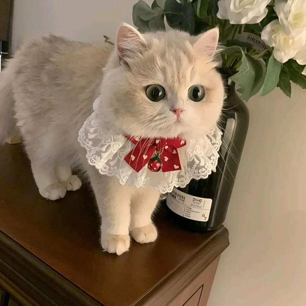 Cute Dog Collar Lace Bowknot Pearl Cat Necklace Sweet Neck Decoration Elegant Gentle Puppy Necktie 1005009255141791