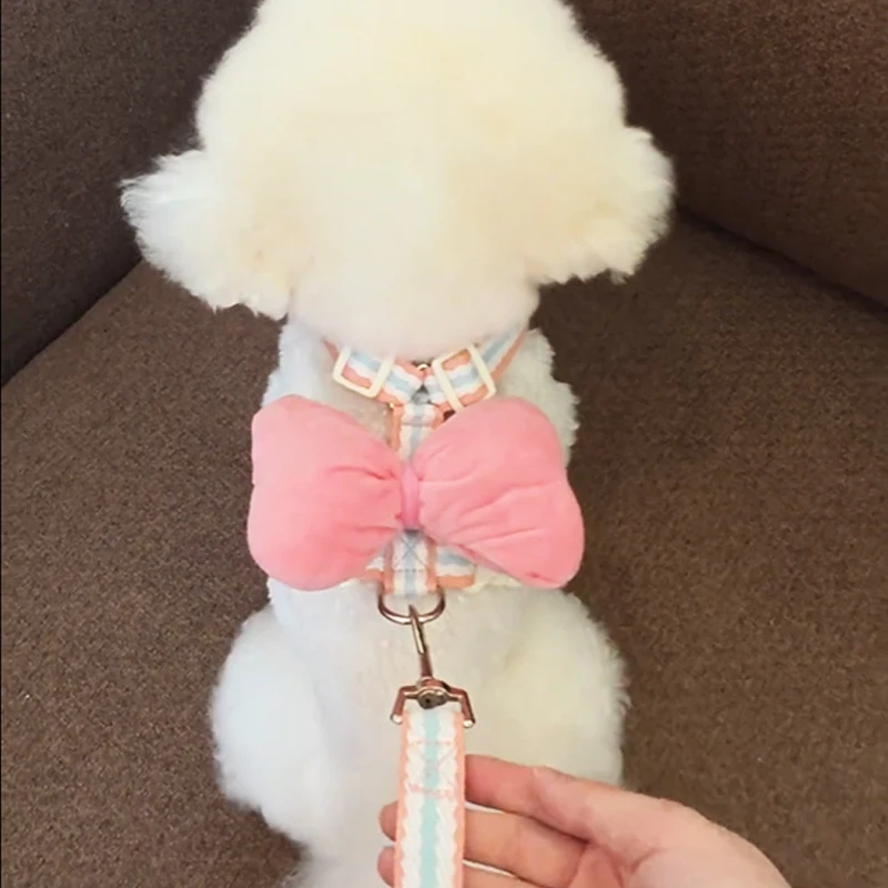 Dog Leash Vest Style Small Dog Bichon Teddy Knot Pet Harness Anti Escape Walking Rope Amor Brand 1005009272011491
