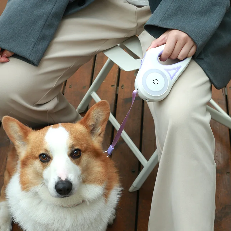Dog Luminous Leash With Lights Small Medium Dogs Automatic Retractable Dog Walking Leash Teddy 1005009290871049