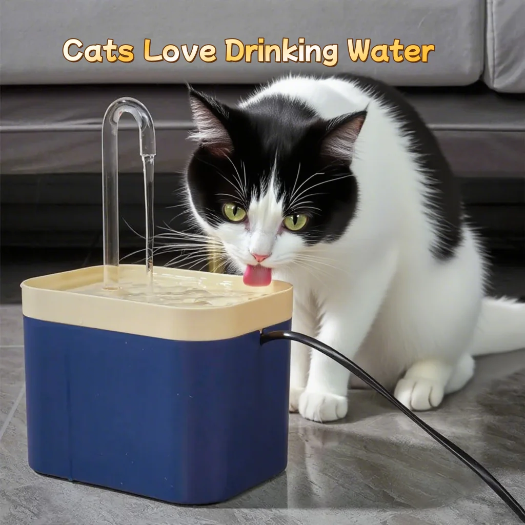 Ultra-Quiet Pet Water Fountain Auto Filter USB Electric Cat Dog Water Dispenser&Burnout Prevention 1005009304971712