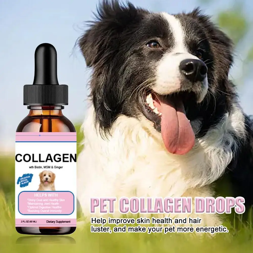 Pet Collagen Drops For Dogs And Cats Healthy Nutritional Supplement Protect Coat Enhance Body 1005009305924177